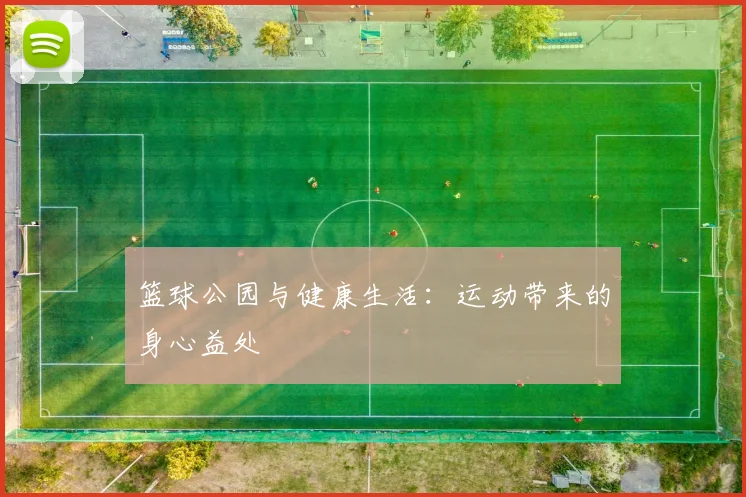 篮球公园与健康生活：运动带来的身心益处